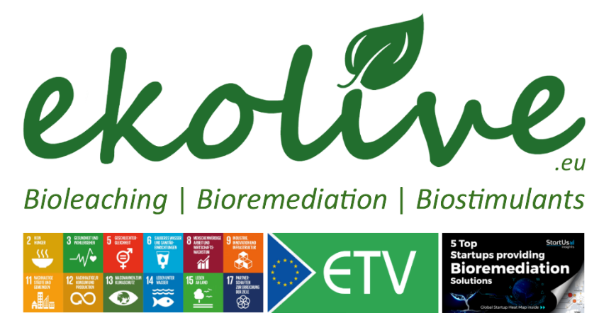 Bioleaching technology by heterotrophic bacteria